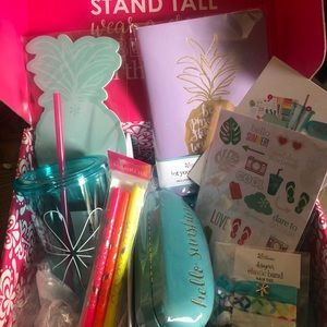 2018 Erin Condren summer surprise box
